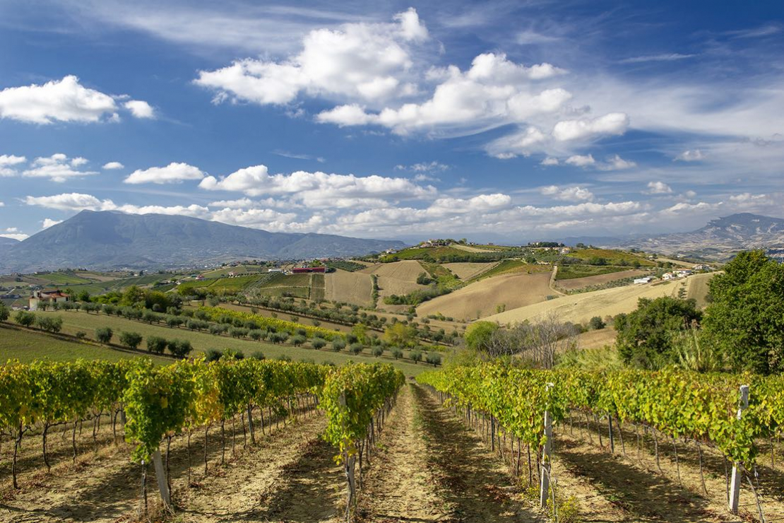 Anteprima Montepulciano d’Abruzzo Colline Teramane: un territorio in fermento