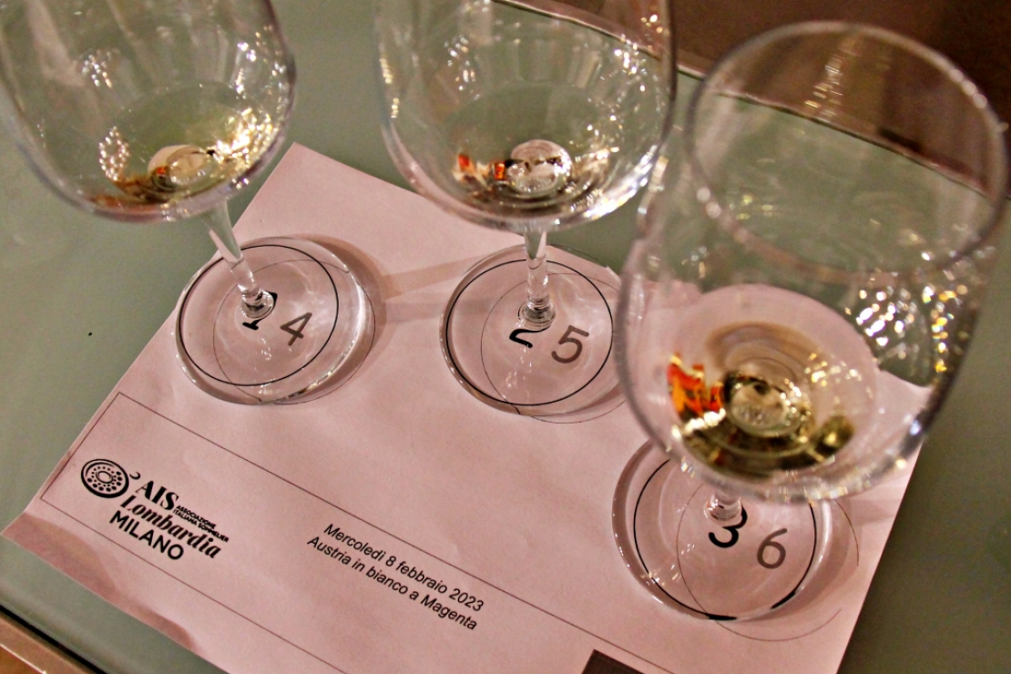 La coppia d’oro del vino austriaco: grüner veltliner e riesling