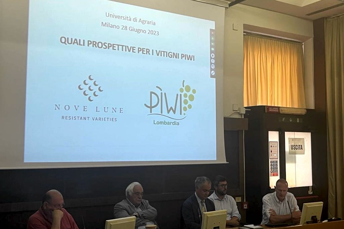 Quali prospettive per i vitigni Piwi? Lo stato dell’arte