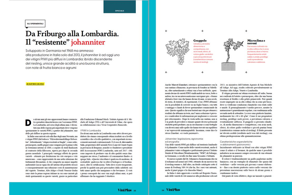 Da Friburgo alla Lombardia. Il “resistente” johanniter