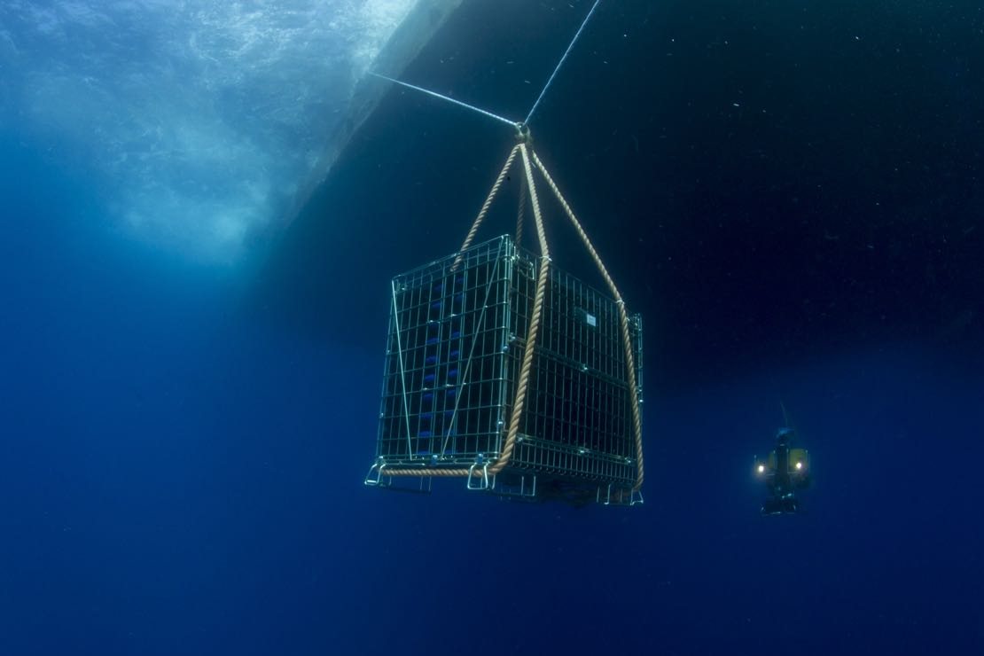 Vini subacquei, lo stato dell’arte della ricerca scientifica
