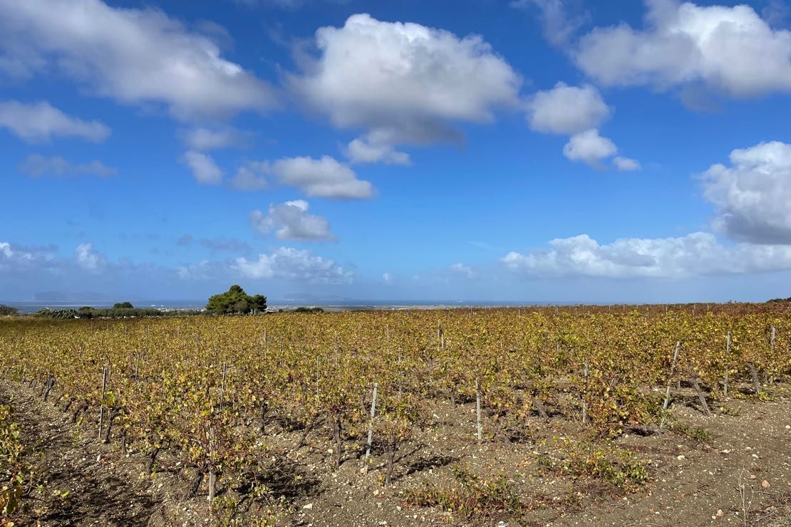 Marsala: porto dallo sguardo lontano