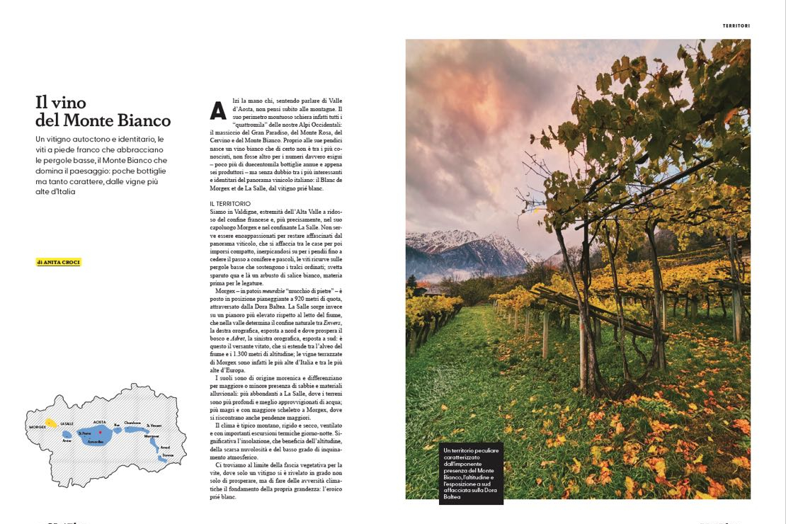 Il vino del Monte Bianco