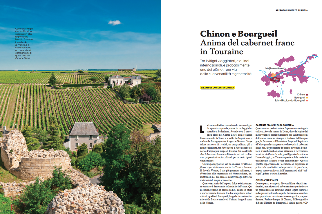 Chinon e Bourgueil. Anima del cabernet franc in Touraine