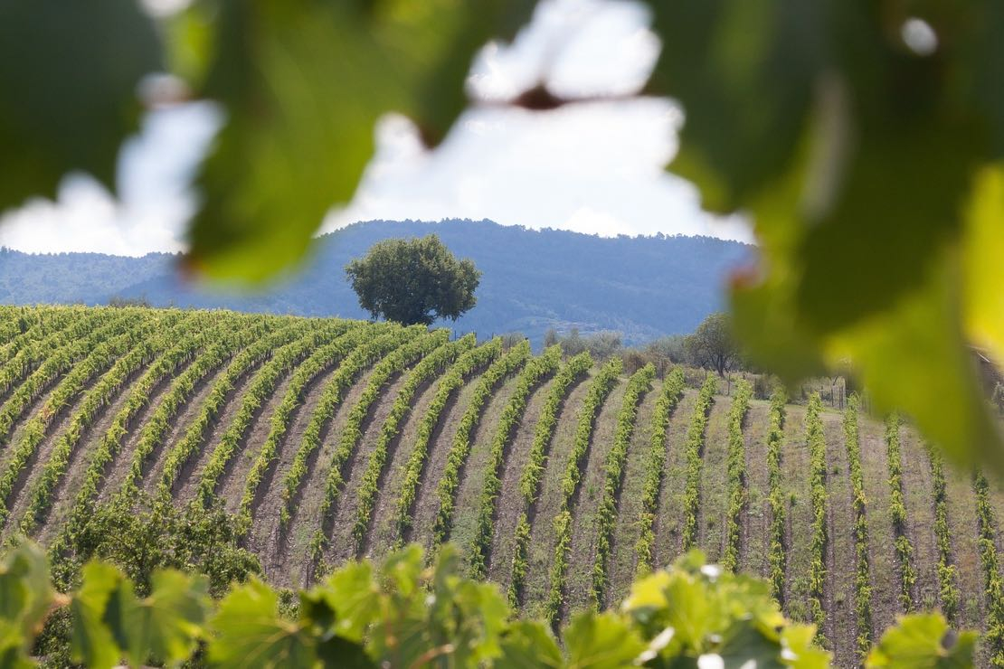 La Toscana dice sì a nuovi impianti