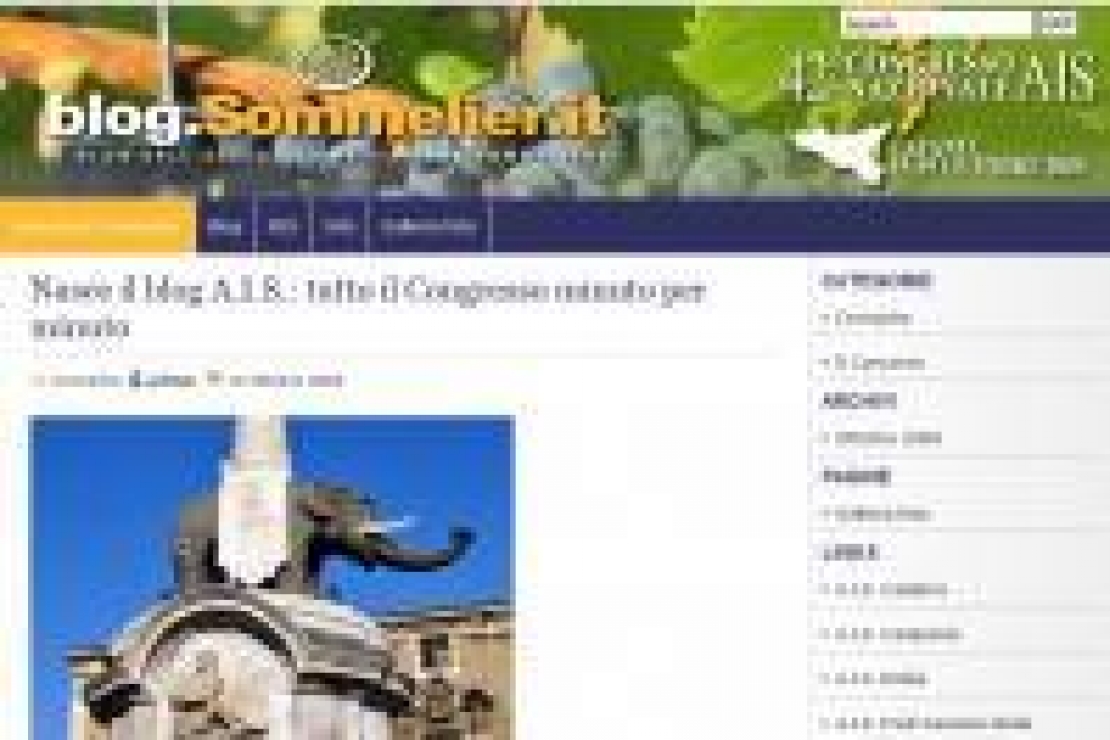 Nasce il Blog targato Ais Nazionale