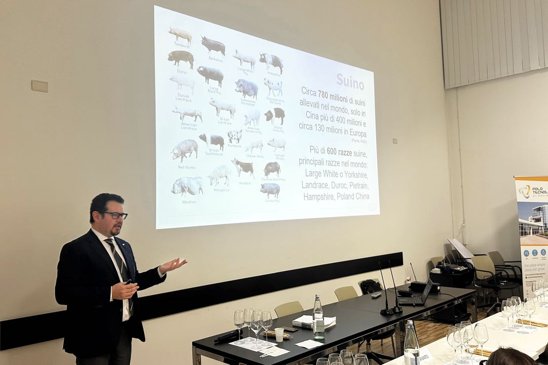 Elogio al suino: storia, cultura e gastronomia di un animale straordinario