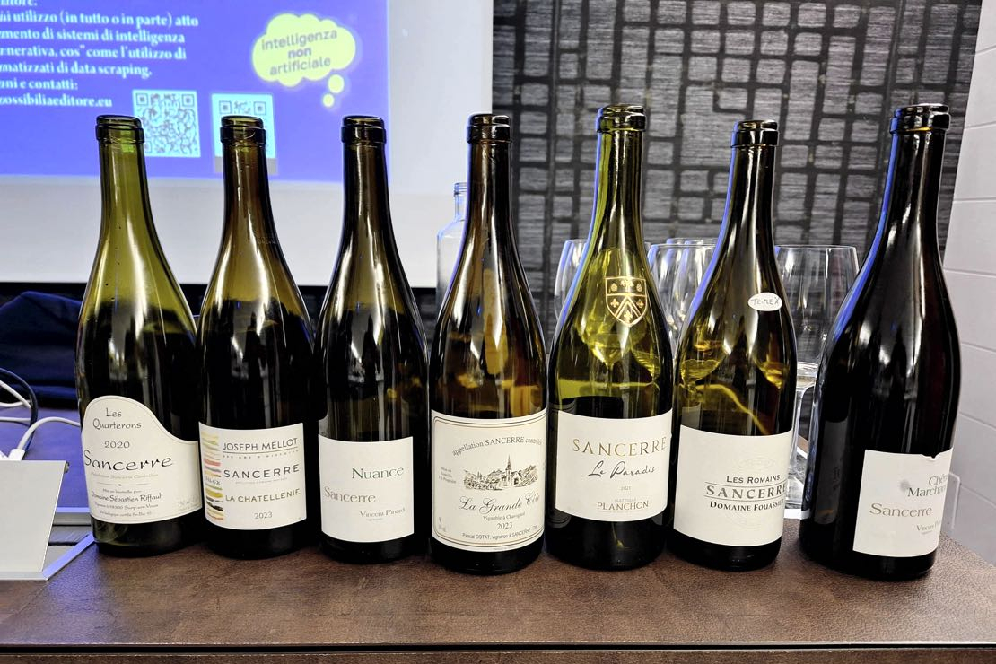Viaggio sensoriale tra i terroir di Sancerre