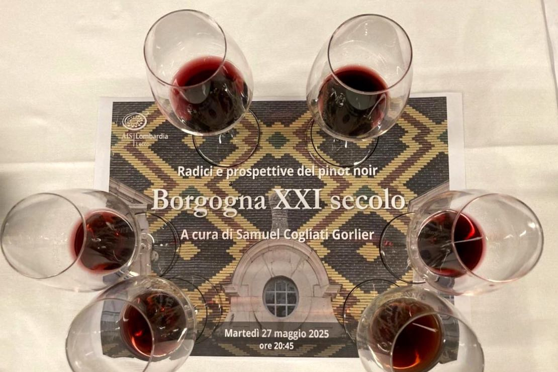 Borgogna e pinot nero: tradizione e sguardo al futuro