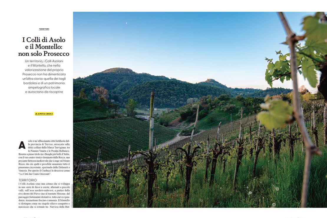 I Colli di Asolo e il Montello: non solo Prosecco