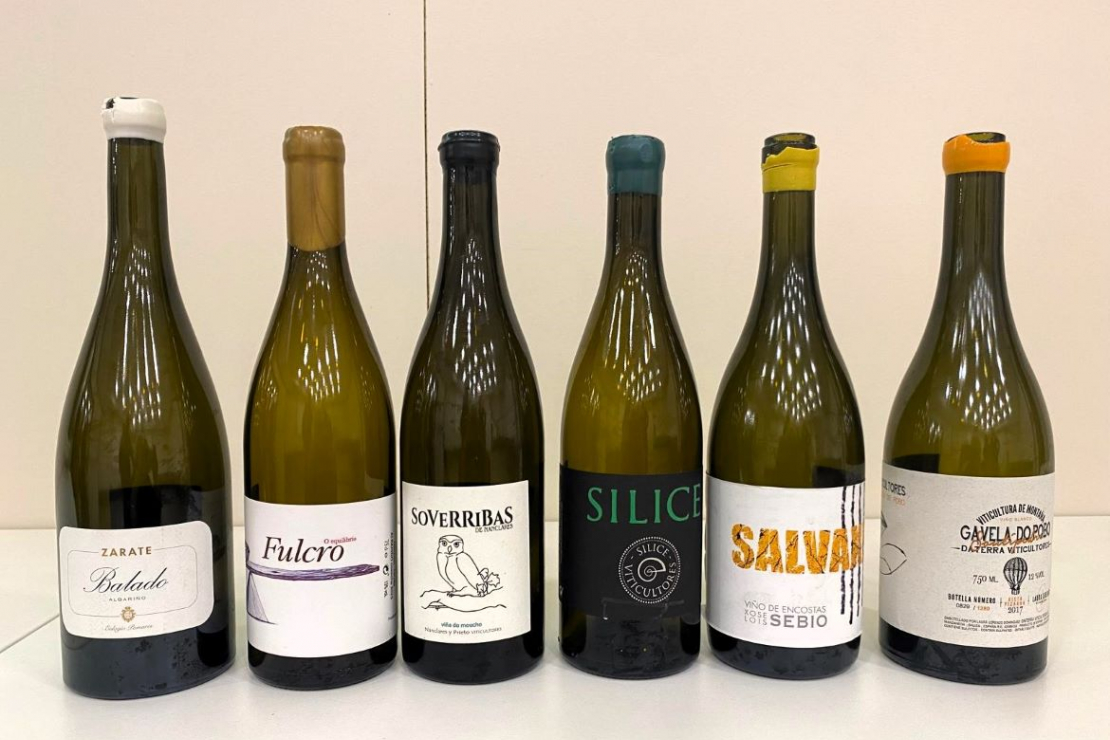 Alla scoperta dei vini della Galizia
