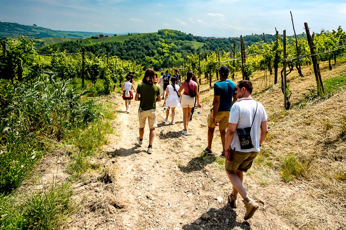 Scollinando in vendemmia: tra le vigne del Buttafuoco Storico