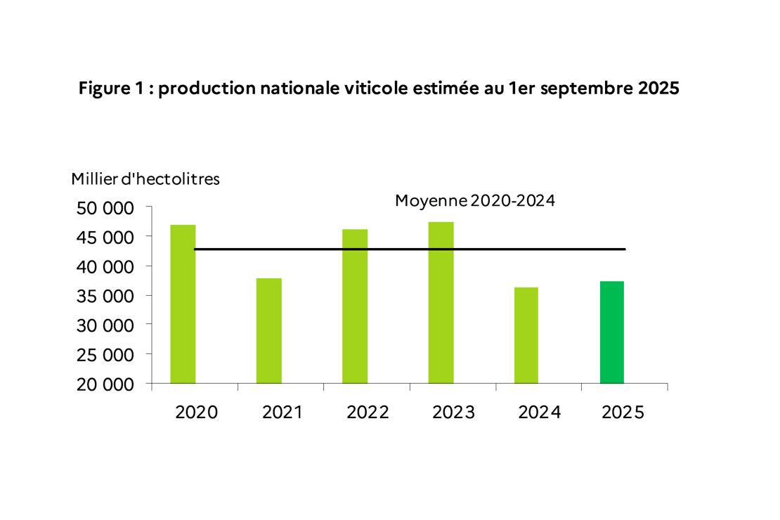 Un raccolto abbastanza magro per i vini francesi