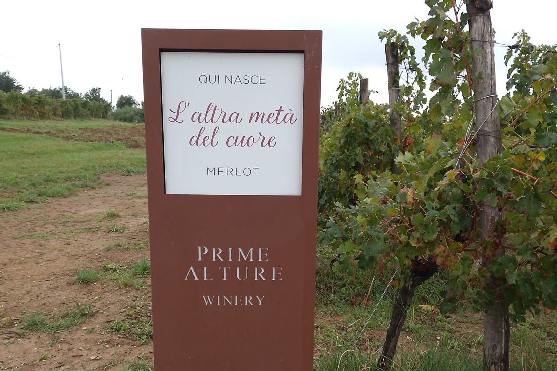 Prime Alture: “cantina, accoglienza e cucina”