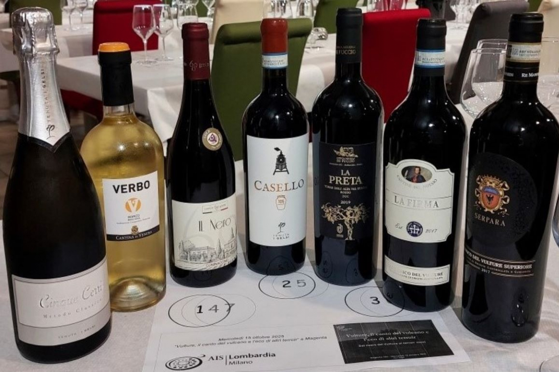 Vulture, il canto del vulcano e l'eco di altri terroir, a Magenta