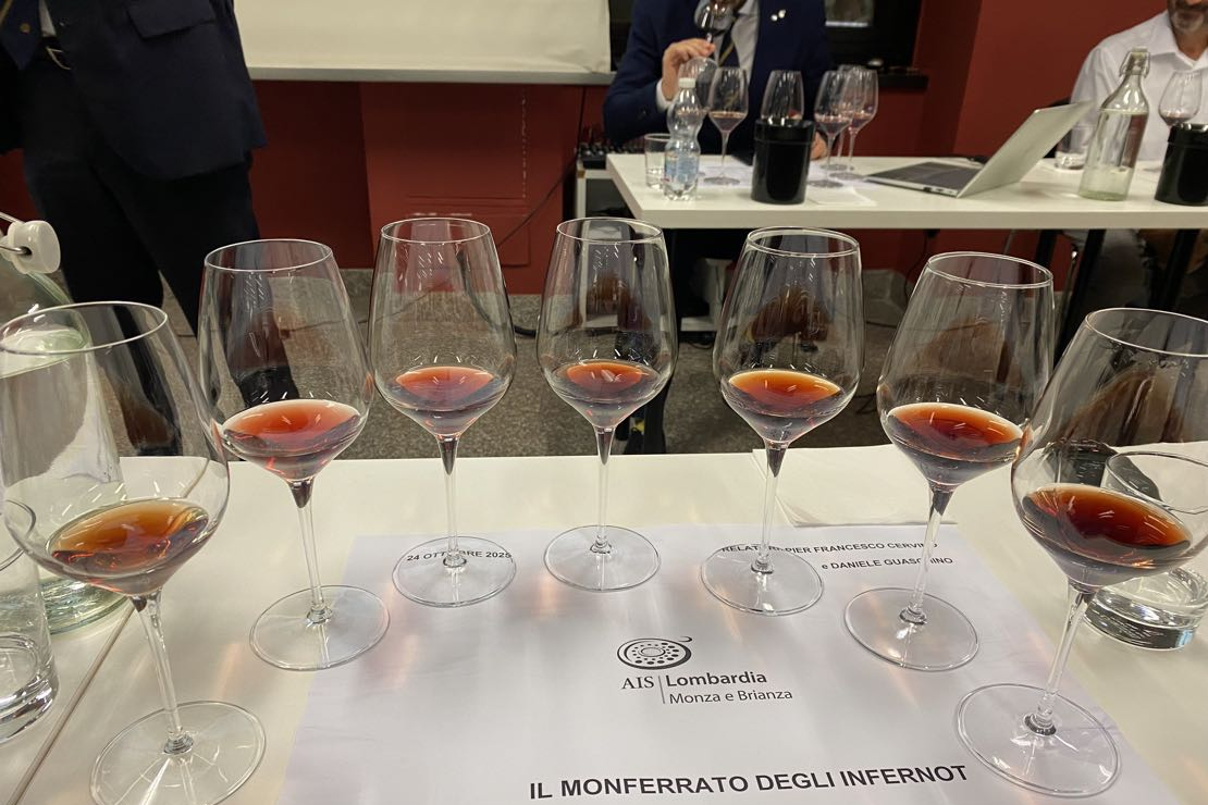 Monferrato Casalese: la tradizione che si rinnova, tra storia e giovani produttori