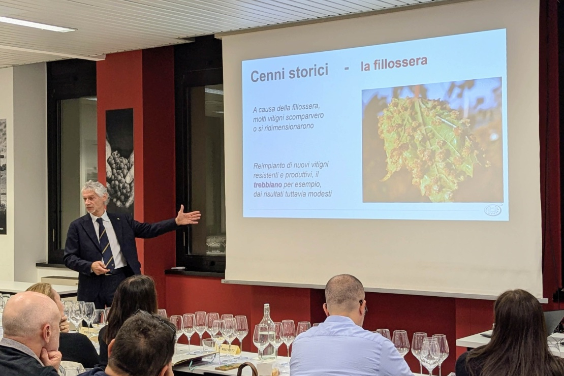 Bianchi di Puglia, ogni calice narra una storia autentica