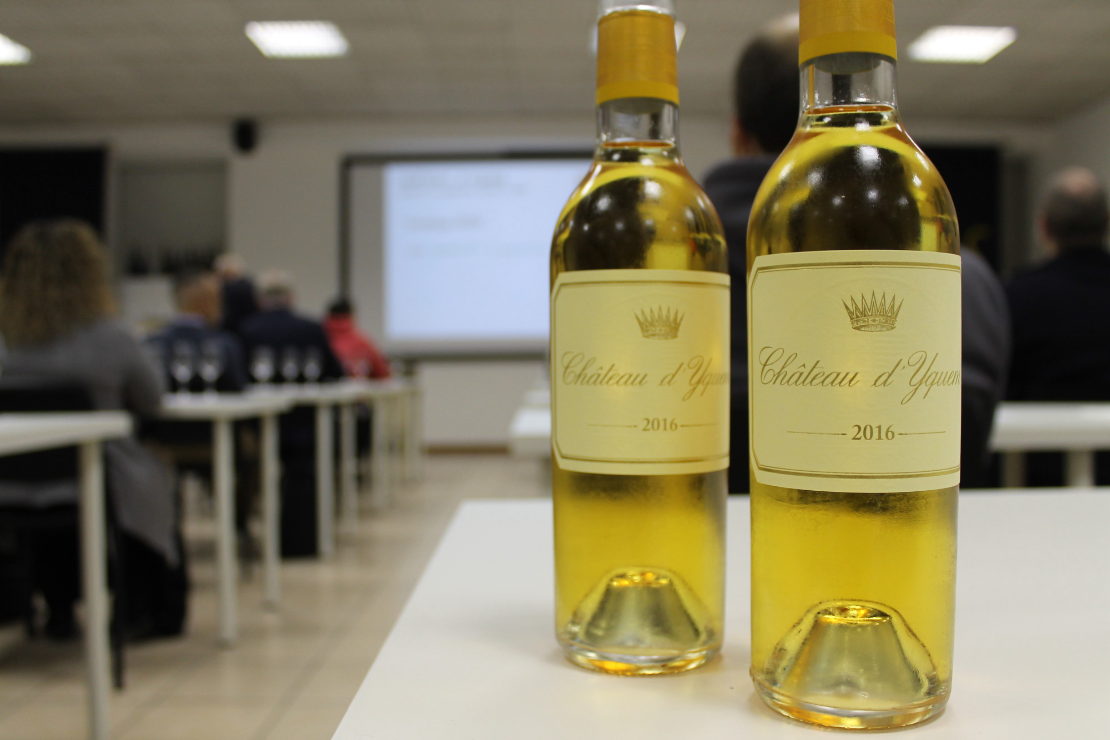Château d’Yquem: l’unicità di un mito