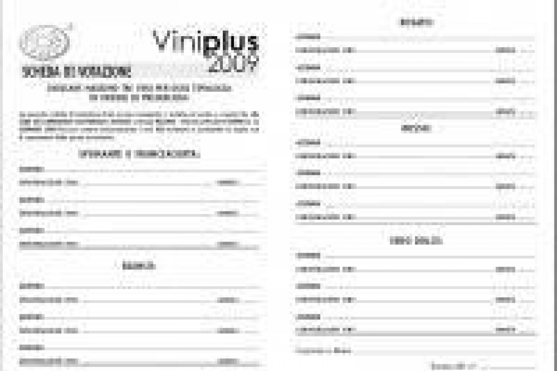Scheda votazione Viniplus 2009