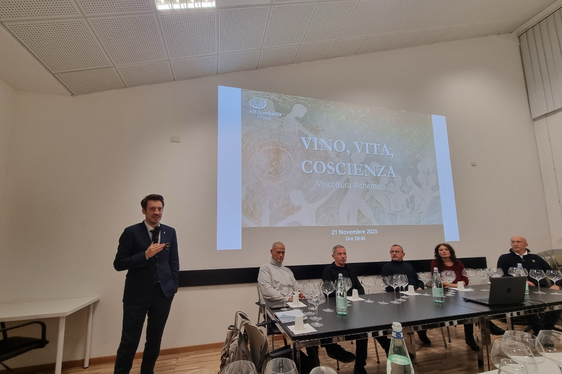 Vino, vita, coscienza. Alla scoperta della viticoltura alchemica di Giorgio Mercandelli