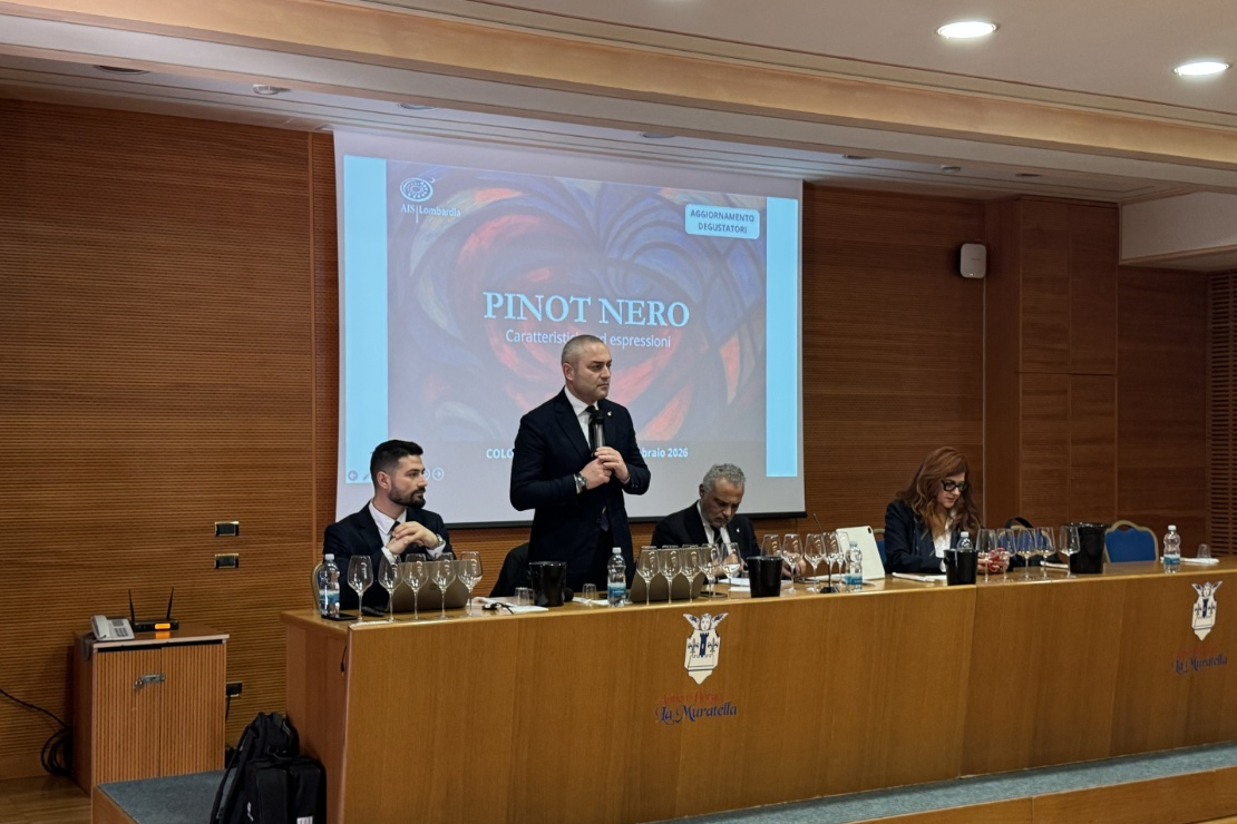 Il pinot nero dell&rsquo;Oltrep&ograve; Pavese tra tecnica, territorio ed evoluzione