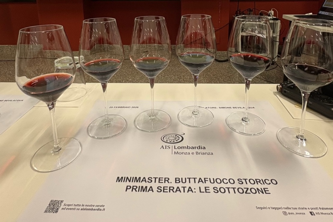 Buttafuoco Storico: suoli, sottozone e annate