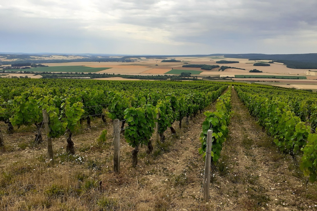 Cos&igrave; cambia il profilo dell&rsquo;Esagono