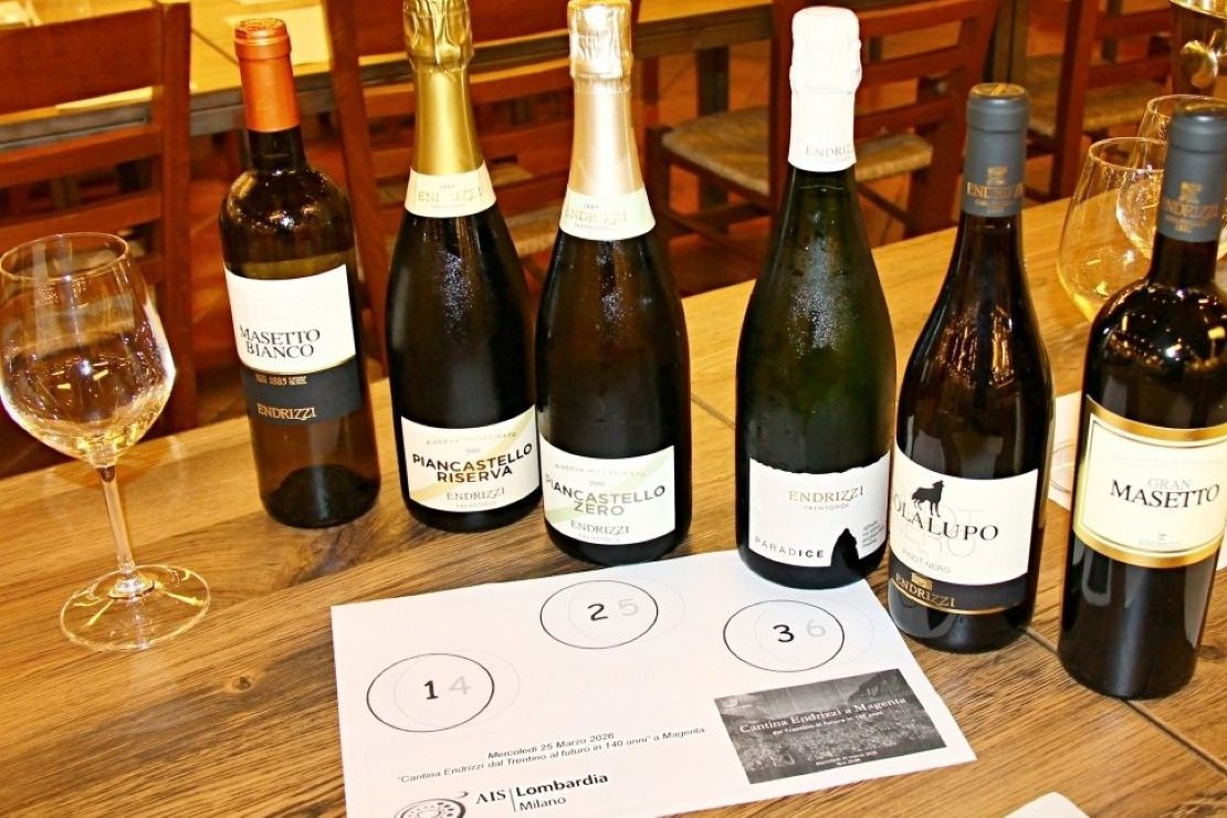 Cantina Endrizzi: dal Trentino al futuro in 140 anni