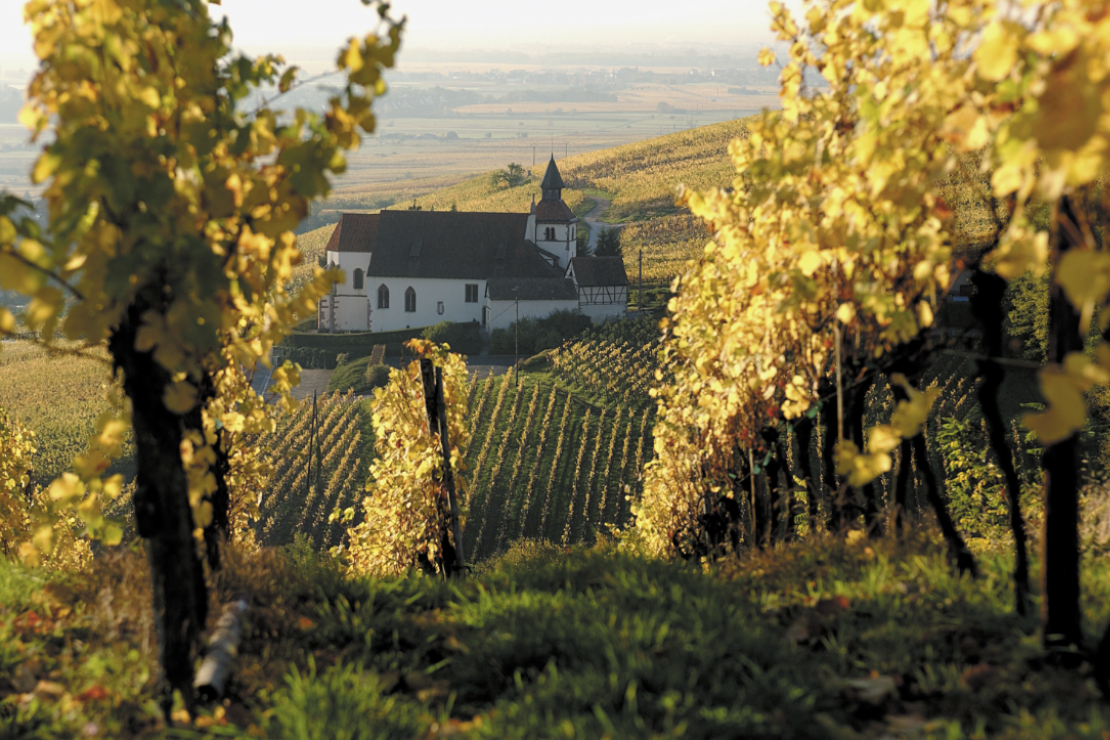 Il Cr&eacute;mant d&rsquo;Alsace &egrave; diventato grande