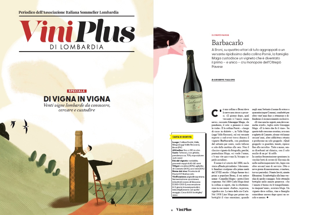 Di Vigna in Vigna - Barbacarlo