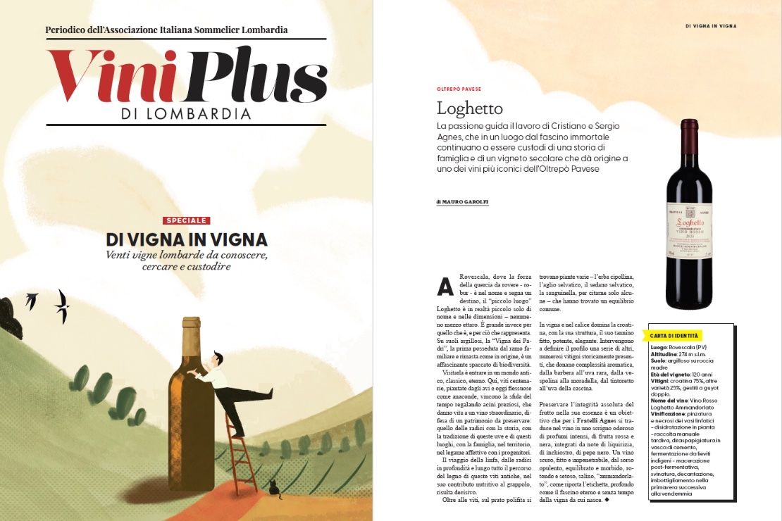 Di Vigna in Vigna - Loghetto