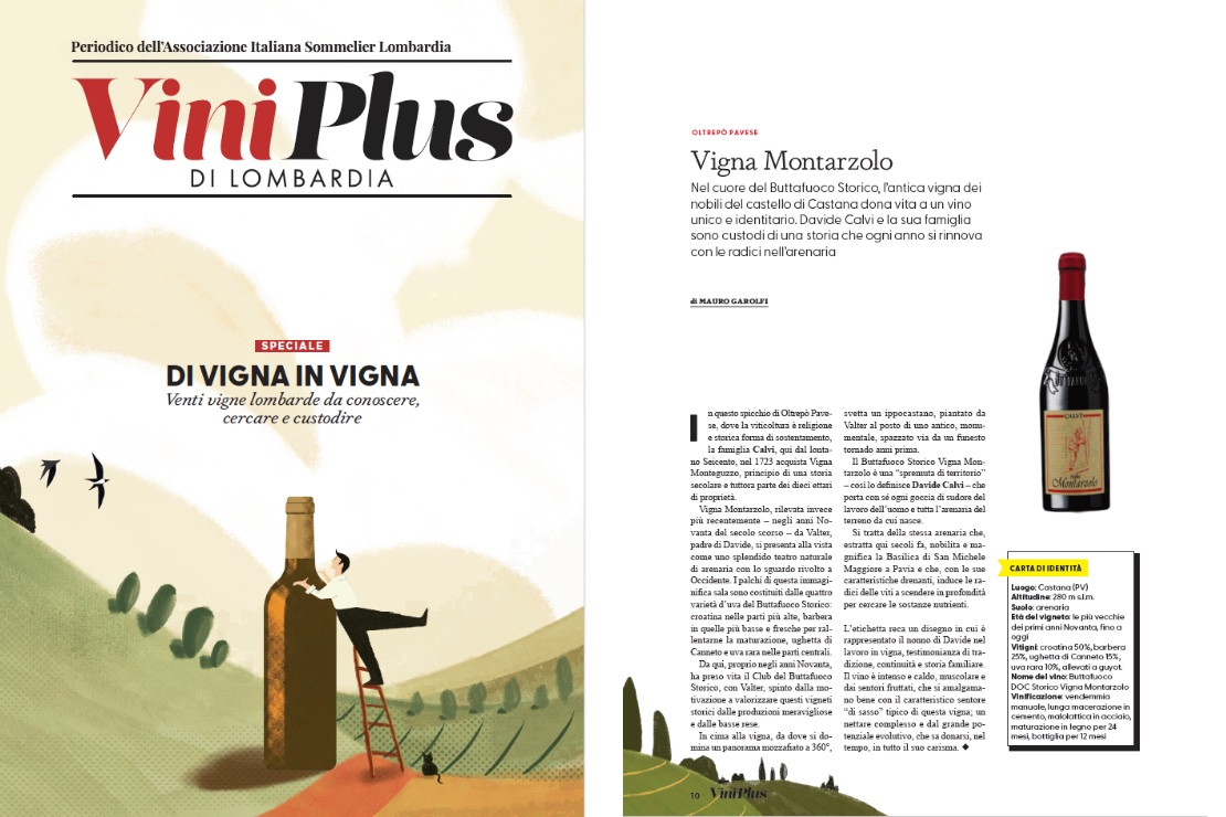 Di Vigna in Vigna - Vigna Montarzolo
