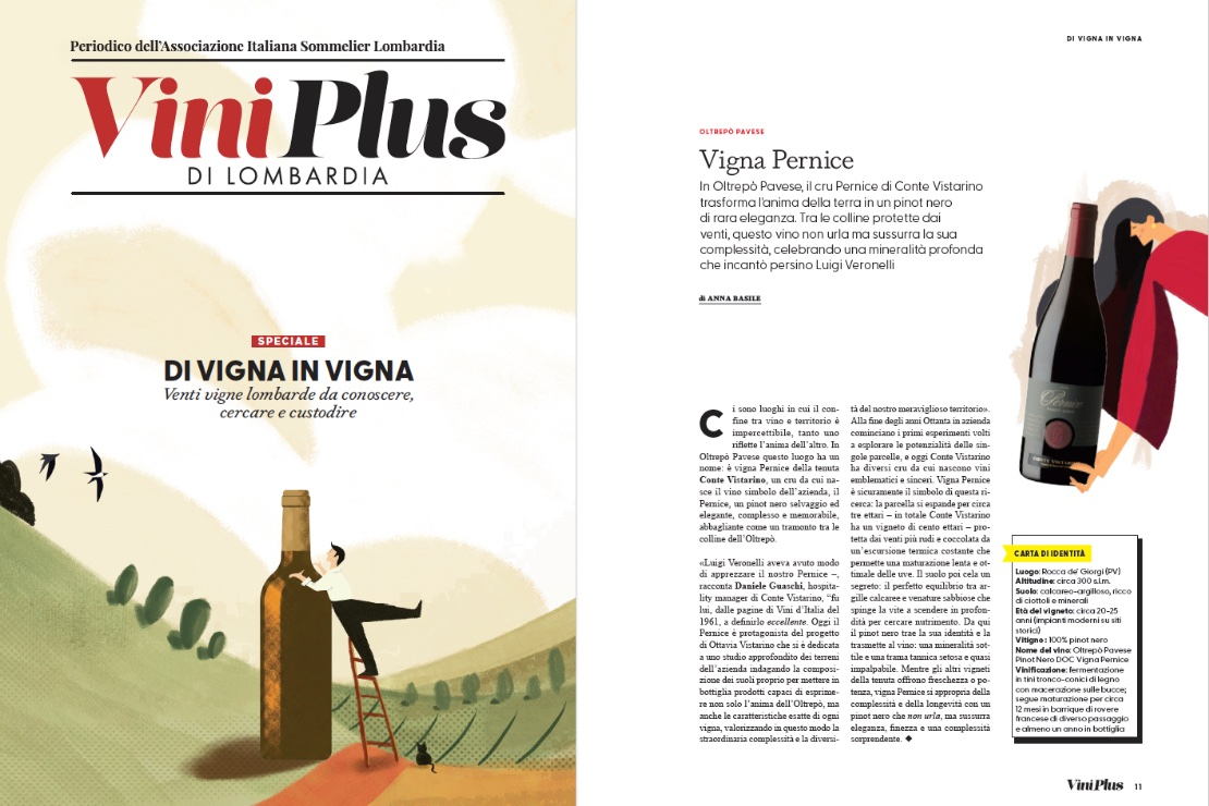 Di Vigna in Vigna - Vigna Pernice