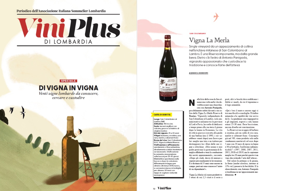 Di Vigna in Vigna - Vigna La Merla