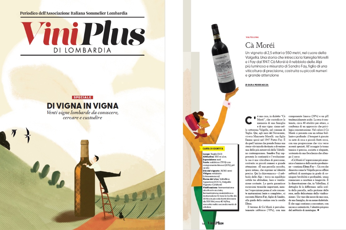 Di Vigna in Vigna - C&agrave; Mor&eacute;i