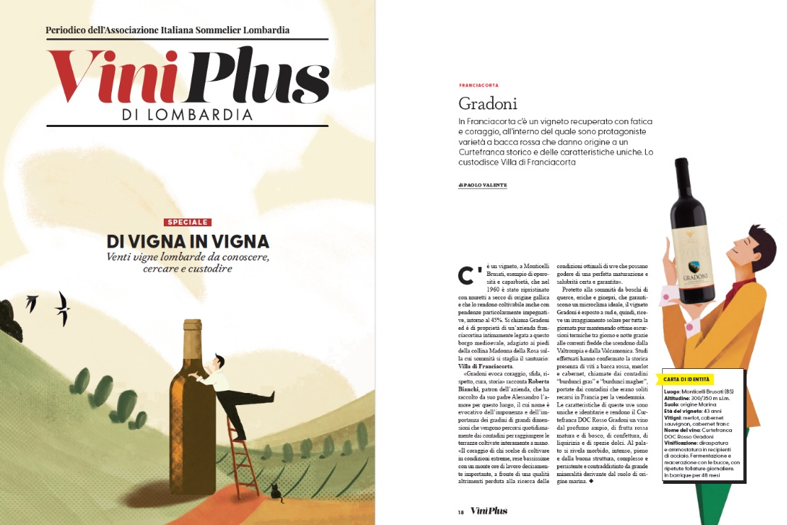 Di vigna in Vigna - Gradoni