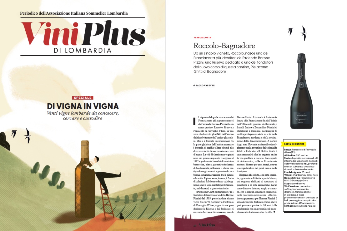 Di vigna in Vigna - Roccolo-Bagnadore