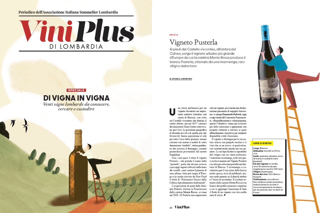Di Vigna in Vigna - Vigneto Pusterla