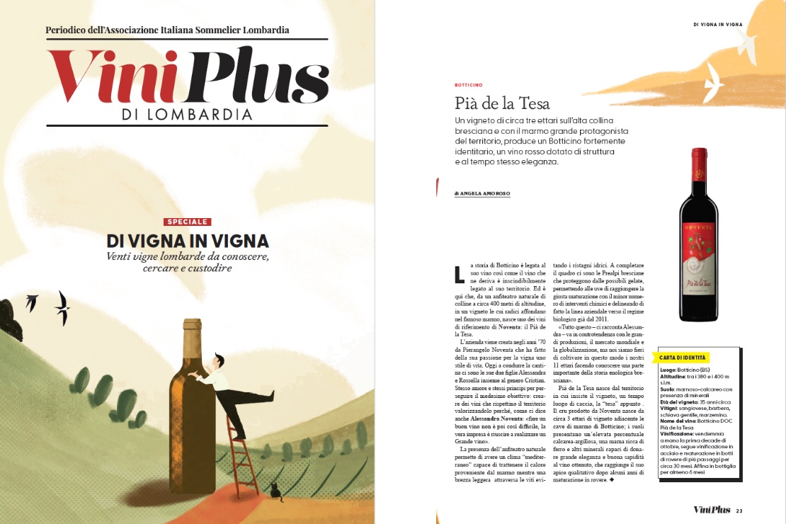Di Vigna in Vigna - Pi&agrave; de la Tesa
