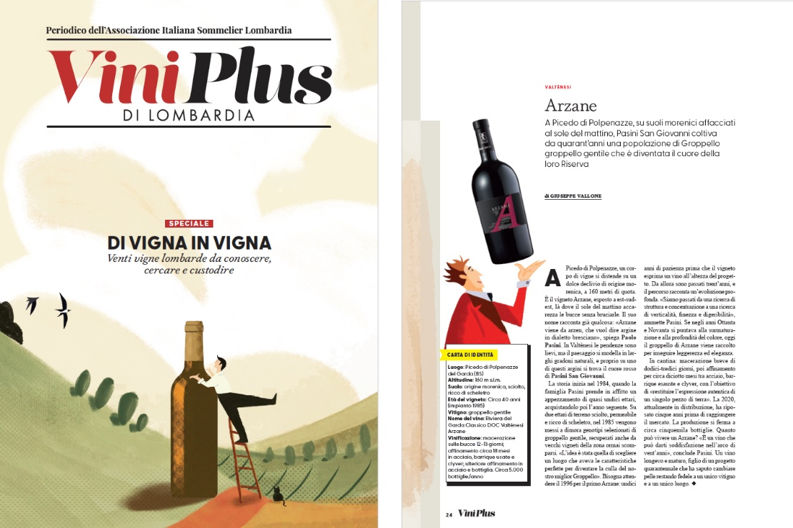 Di vigna in Vigna - Arzane