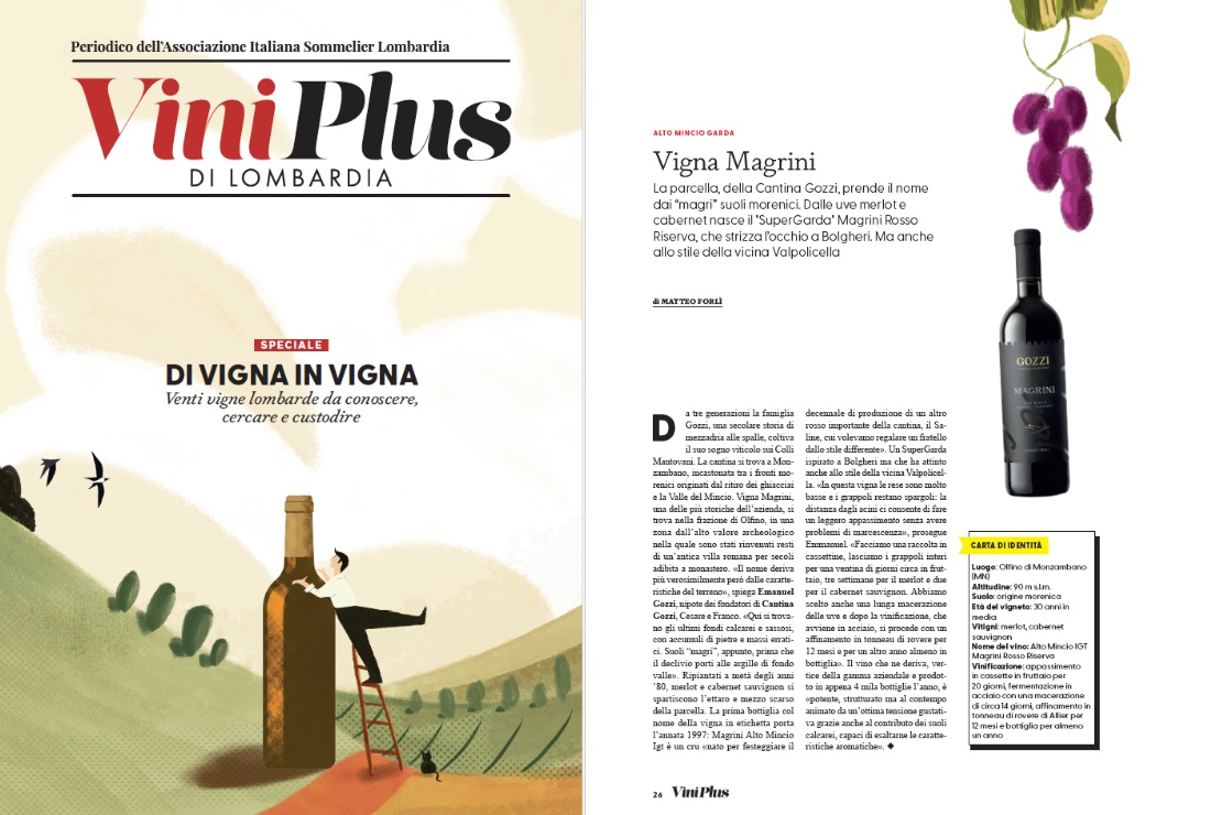 Di Vigna in Vigna - Vigna Magrini