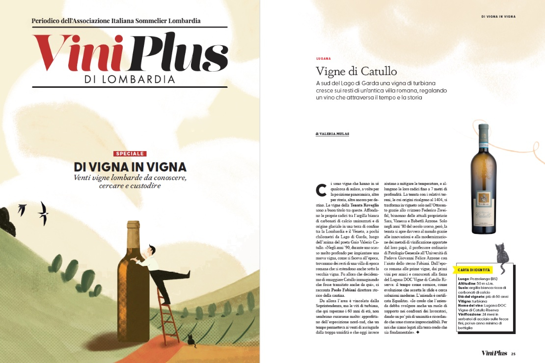 Di Vigna in Vigna - Vigna Montecorno
