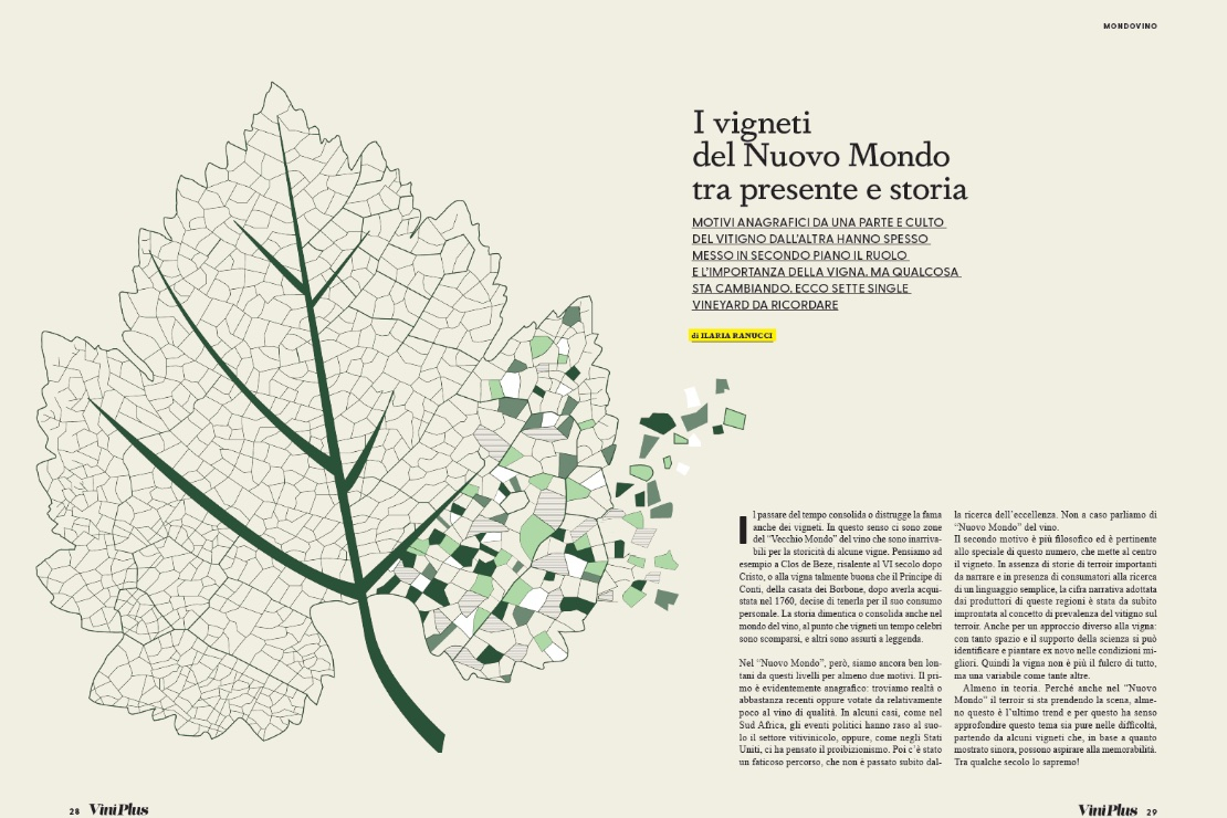 I vigneti del Nuovo Mondo tra presente e storia