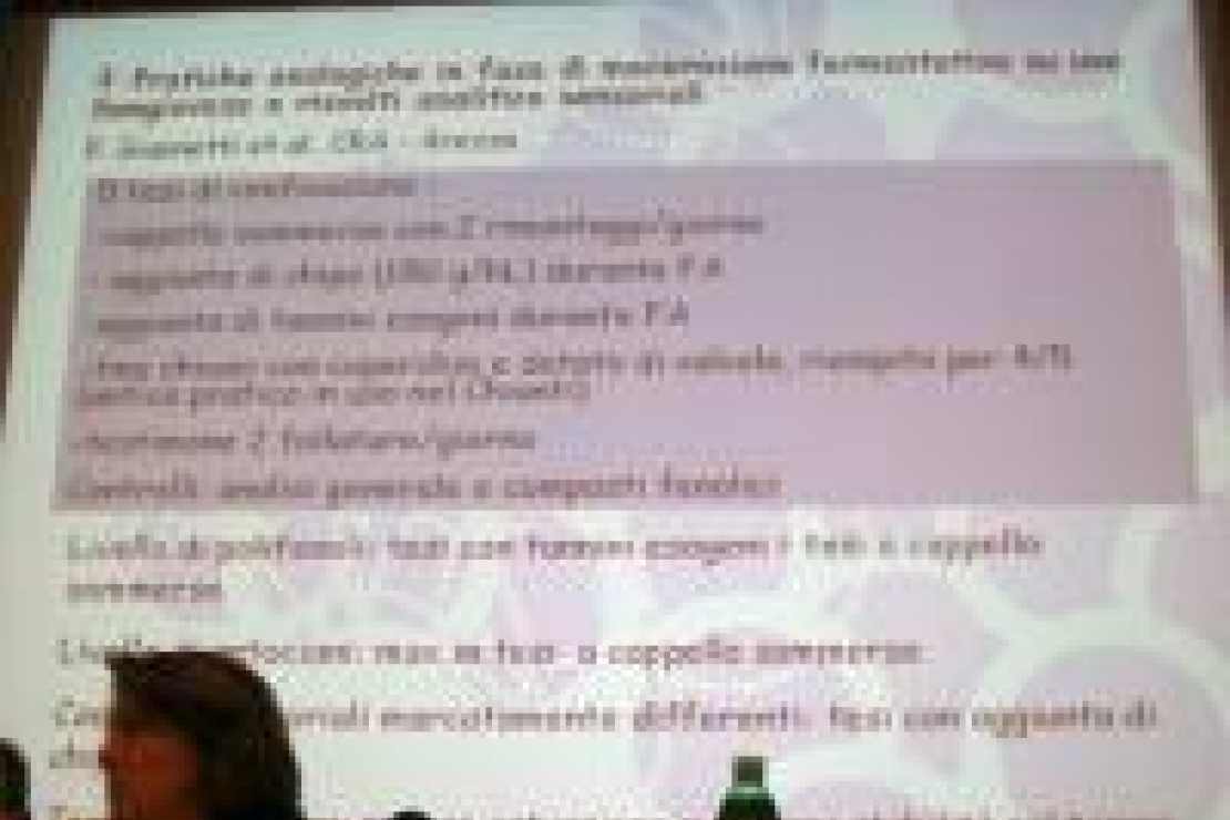 Terzo Simposio Internazionale sul Sangiovese - III Parte
