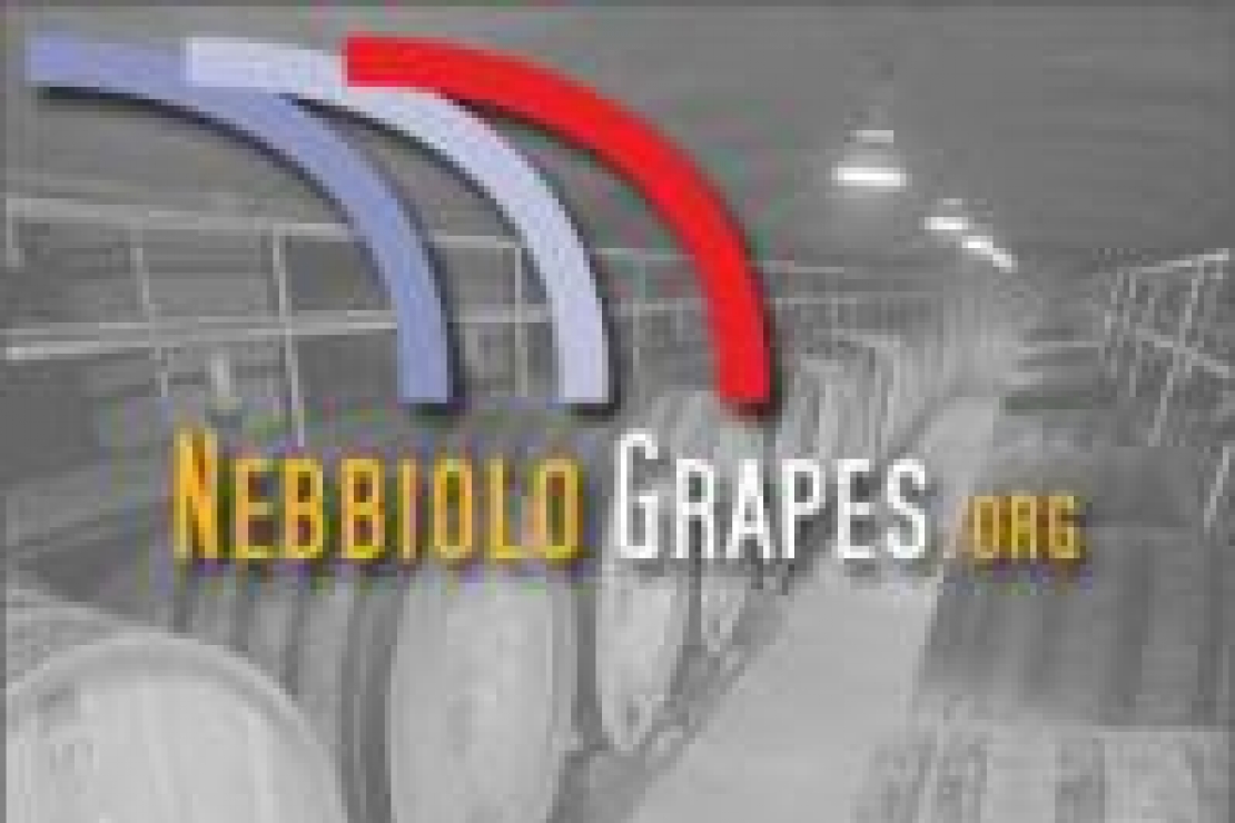 Nebbiolo Grapes