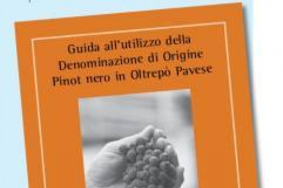 Guida all’utilizzo della denominazione d’origine Pinot Nero in Oltrepo’