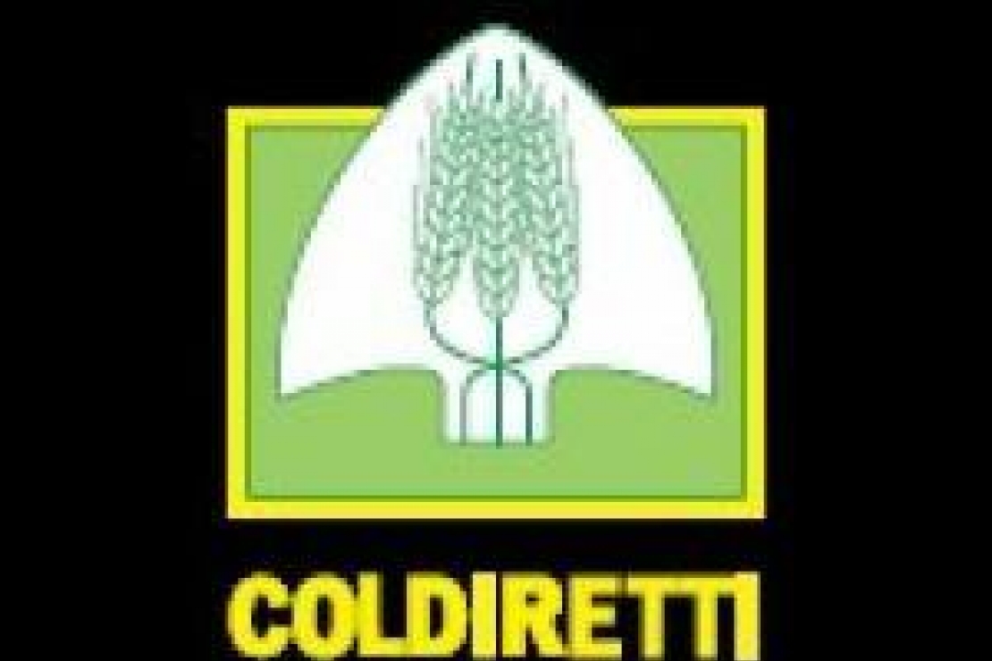 Convegno a Brescia dedicato al futuro del vino