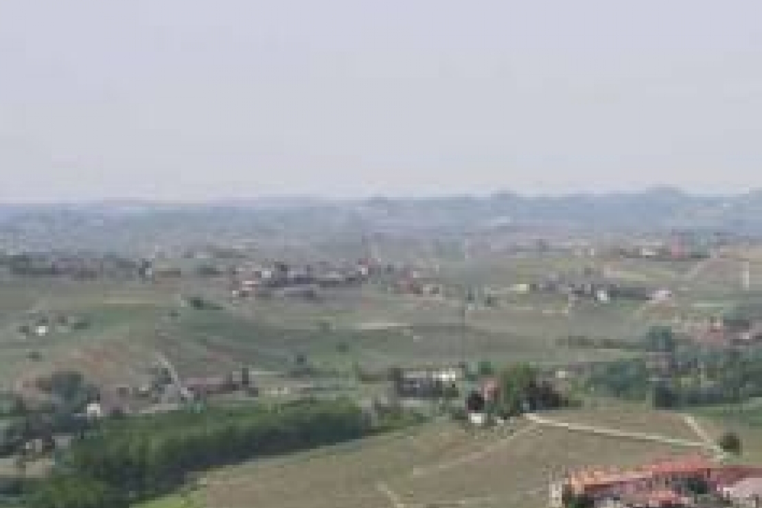 Barolo e Barbaresco si danno nome e cognome