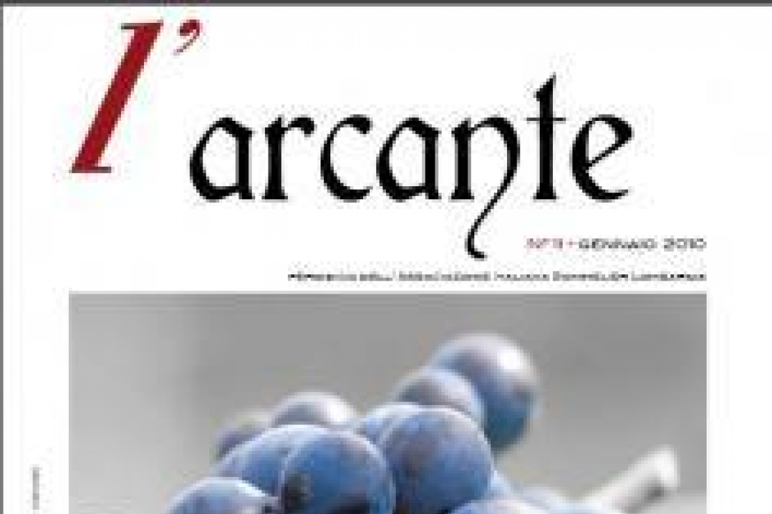 L'Arcante N°11