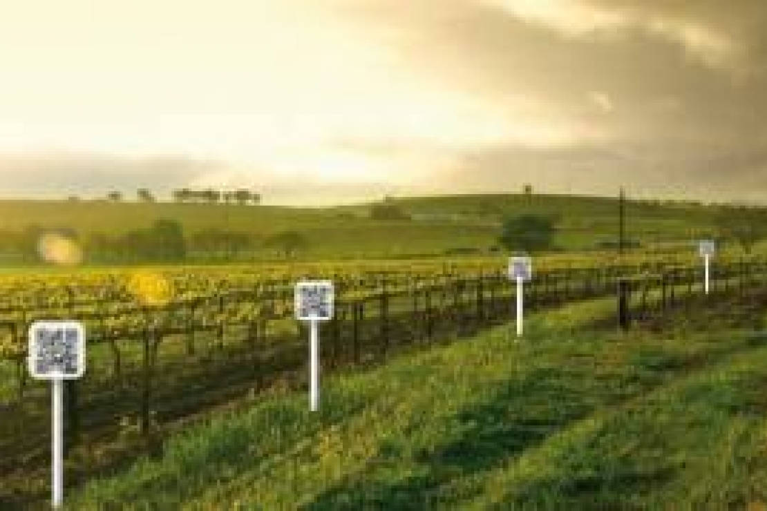 Vinitaly 2010